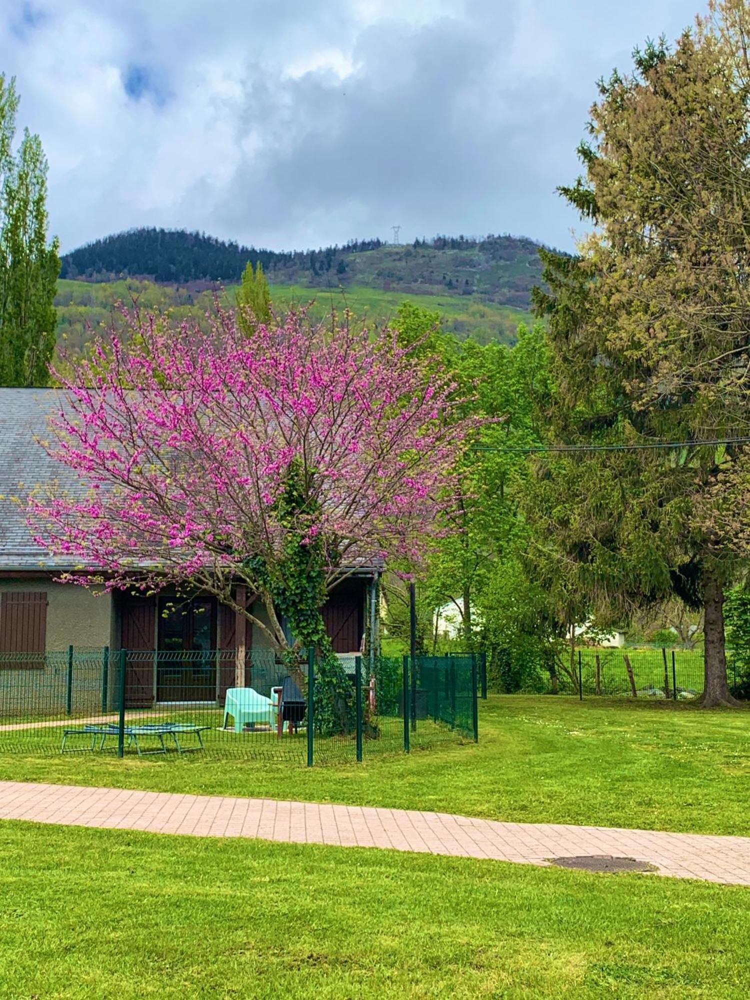 La Suite Unique - Le Jardin Sur Les Pyrenees- Vue Panoramique Montagne -Jardin Cloture Prive De 100M2-Parking-Linge De Lit Et Serviettes Compris- ビエル エクステリア 写真